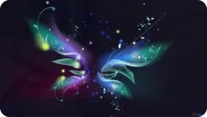 Butterfly of love