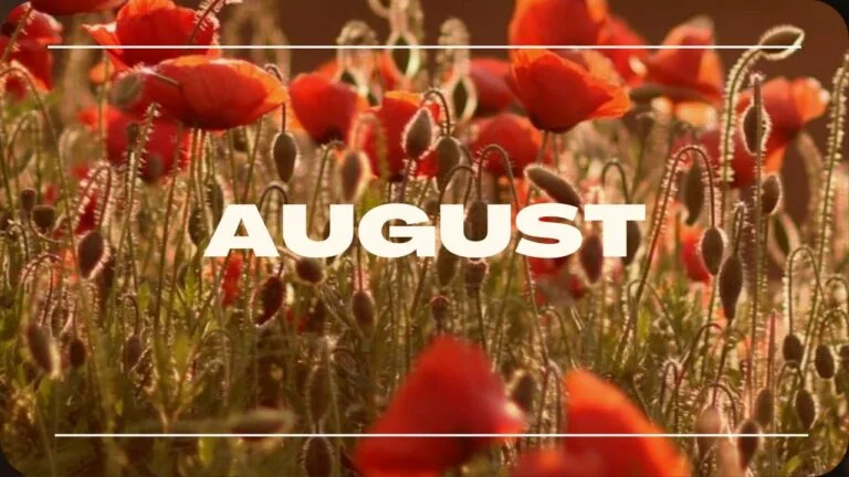 August Poem by Aashvi Solanki